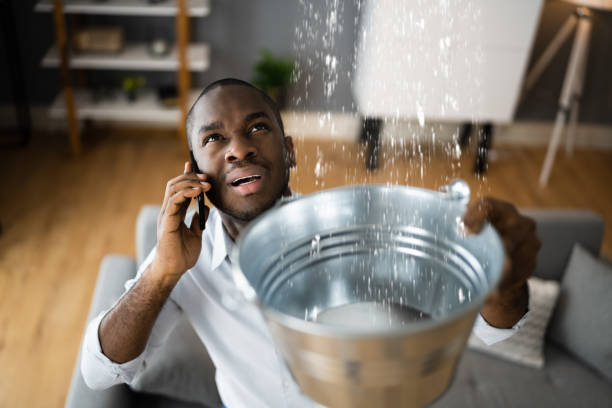 Trusted Riddle, OR Water damage restoration Experts