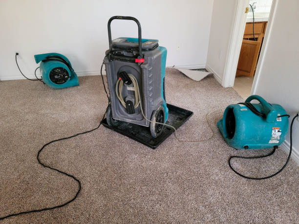 Best Carpet water damage restoration  in Riddle, OR