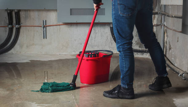 Best Water damage restoration near me  in Riddle, OR