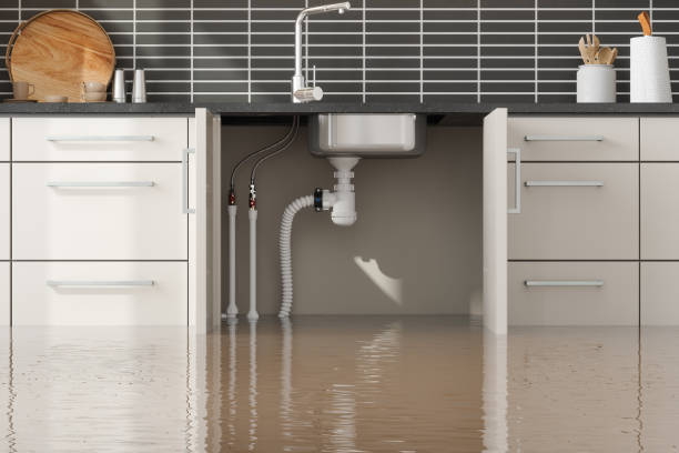 Best Sewage cleanup and water damage restoration  in Riddle, OR