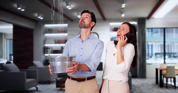 Sewage cleanup and water damage restoration in Riddle, OR