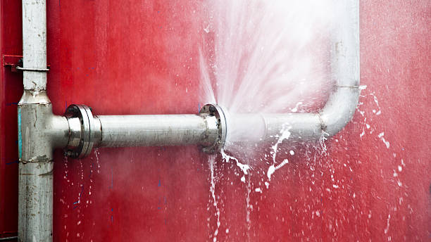 Best Mold removal after water damage  in Riddle, OR