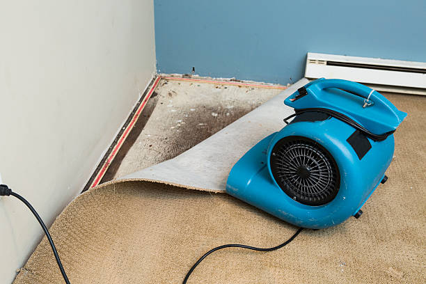 Best Fire Damage Restoration  in Riddle, OR